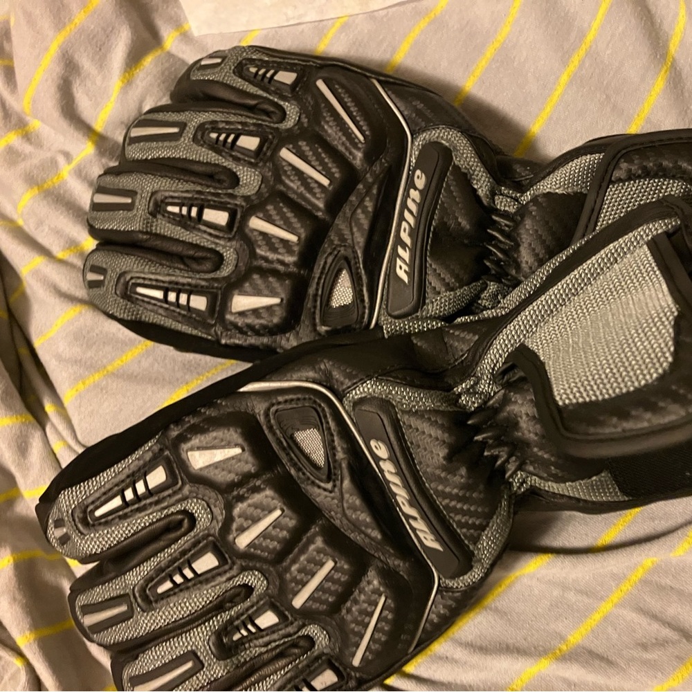 Alpine Men’s Gloves